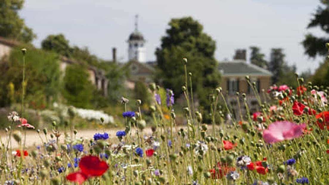 Polesden Lacey